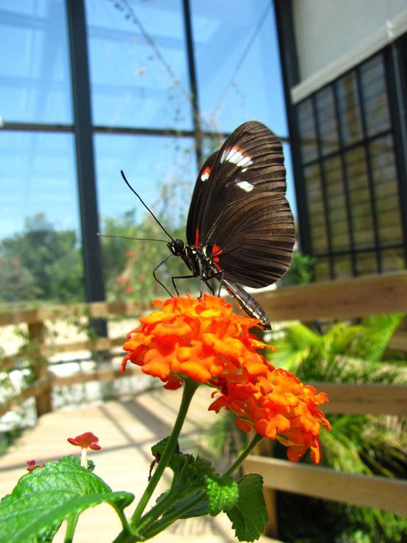 Casa Da Aldeia Villa Constancia Phòng bức ảnh